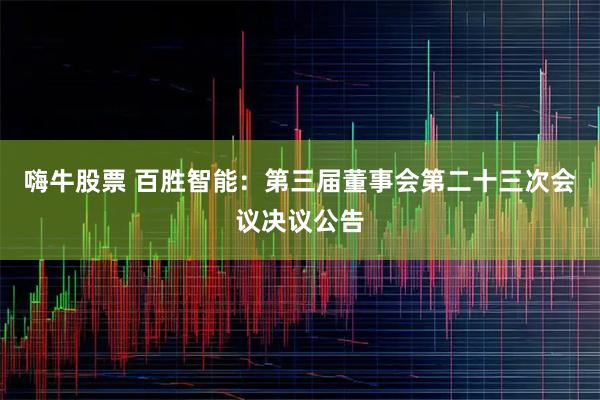 嗨牛股票 百胜智能：第三届董事会第二十三次会议决议公告