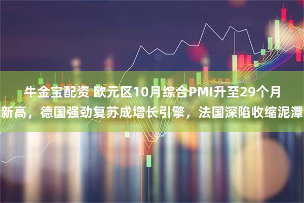 牛金宝配资 欧元区10月综合PMI升至29个月新高，德国强劲复苏成增长引擎，法国深陷收缩泥潭
