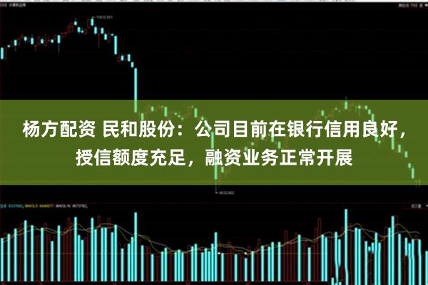 杨方配资 民和股份：公司目前在银行信用良好，授信额度充足，融资业务正常开展